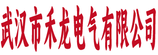 武汉市禾龙电气有限公司